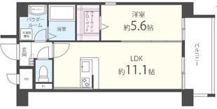 ラフレシーサ医大通りの物件間取画像